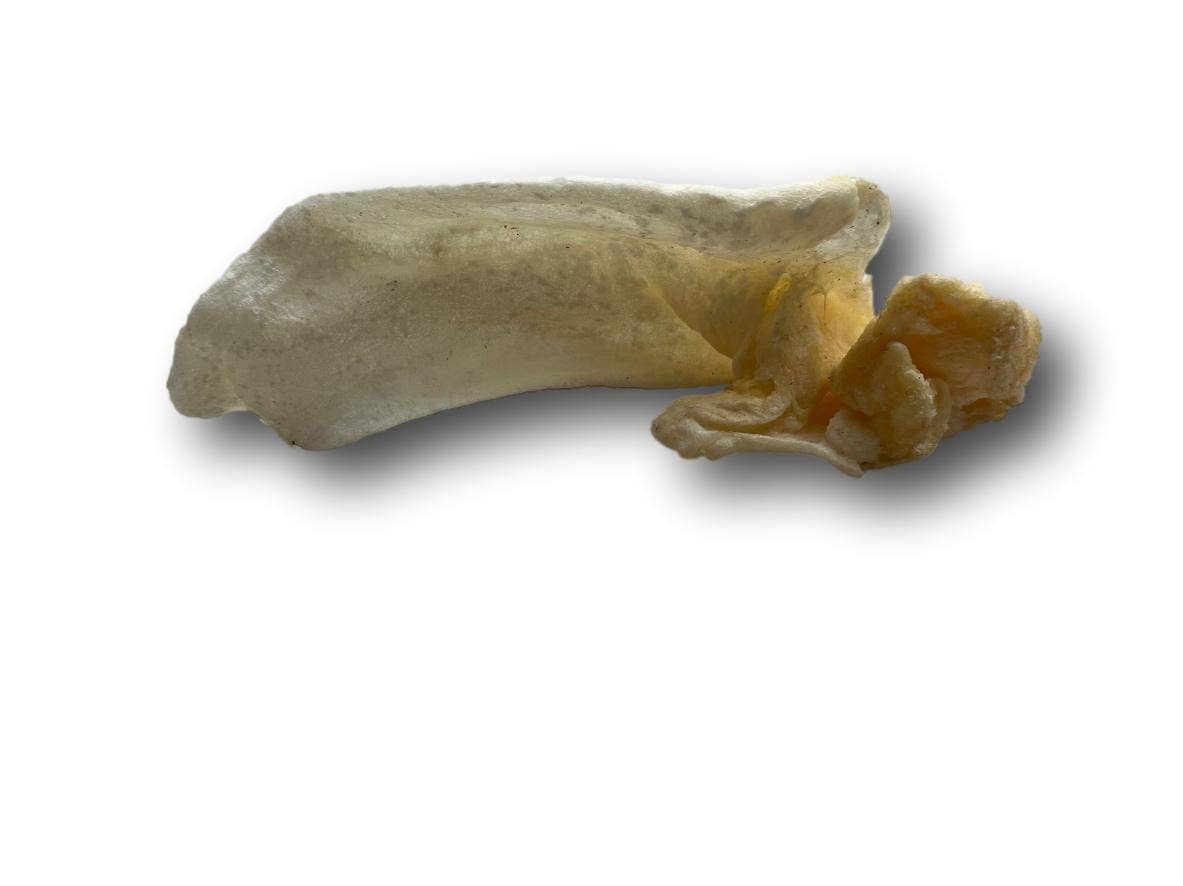 Lamb Ears  (LB0100LE)